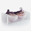 VIOSARP WARDROBE ORGANIZATION BRA CASE 2PCS