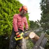 RYOBI RCS2340 CHAINNSAW 1900W 35CM - Image 2