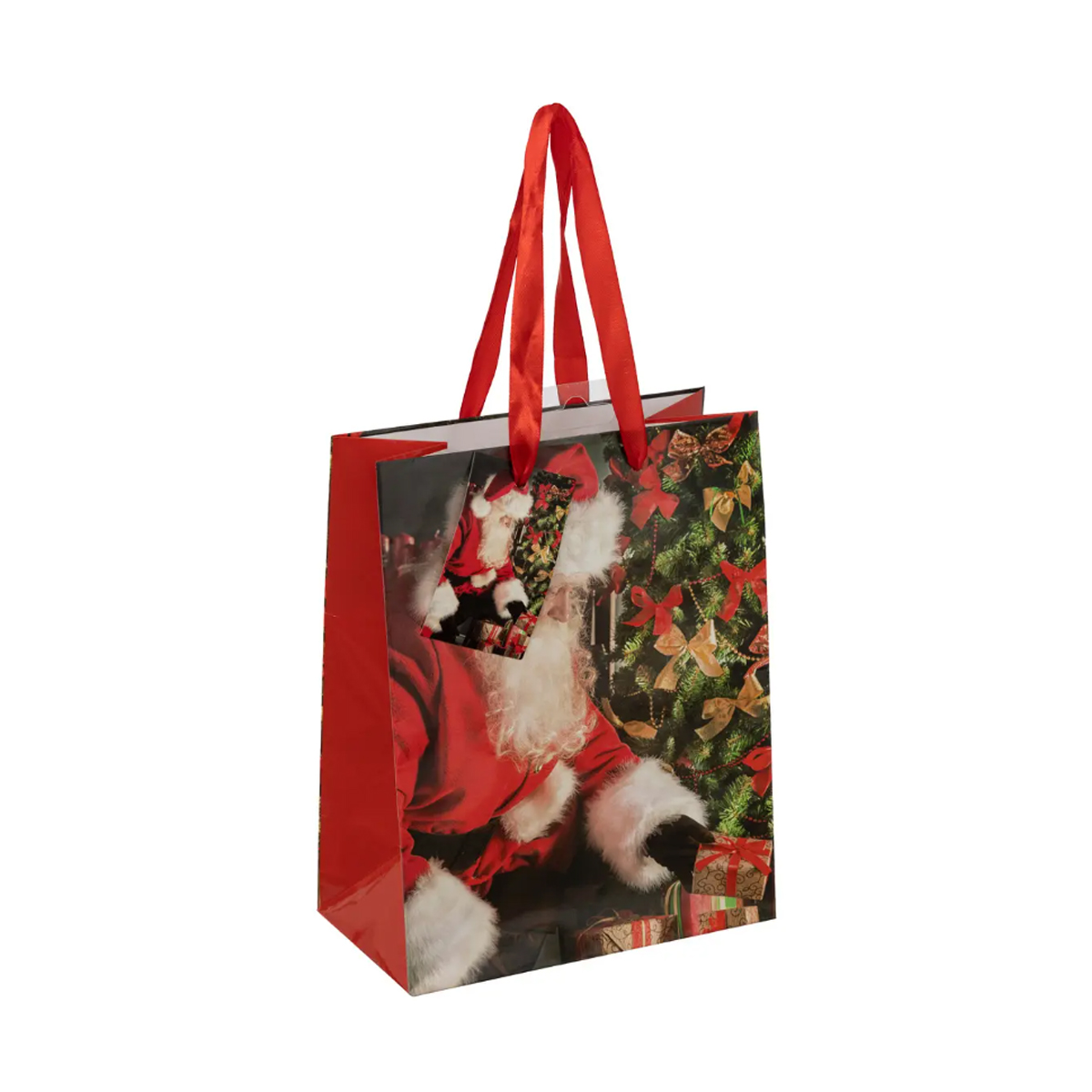 CHRISTMAS GIFT BAG