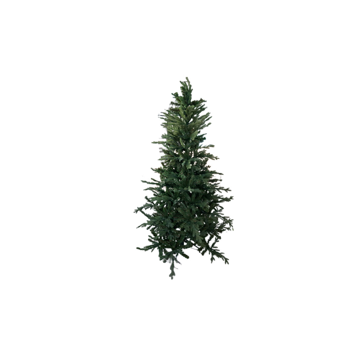 ΧΡΙΣΤΟΥΓΕΝΝΙΑΤΙΚΟ ΔΕΝΤΡΟ ΠΡΑΣΙΝΟ NOBLE FIR ΜΕ ΣΤΑΘΕΡΑ ΛΑΜΠΑΚΙΑ