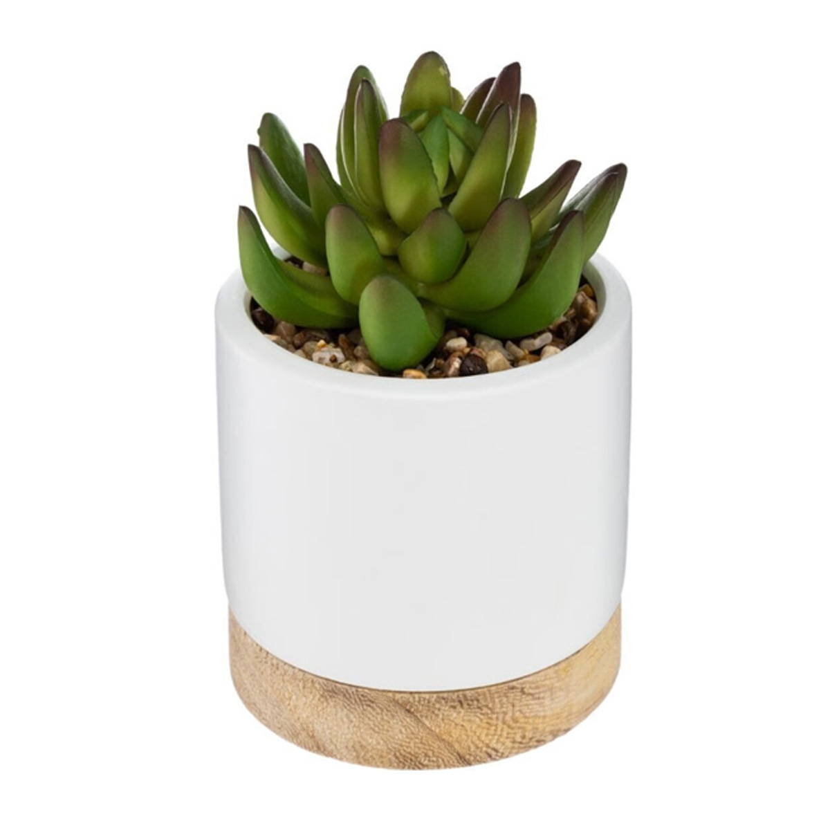 ARTIFICIAL SUCCULENT IN CERAMIC/WOODEN POT 12CM