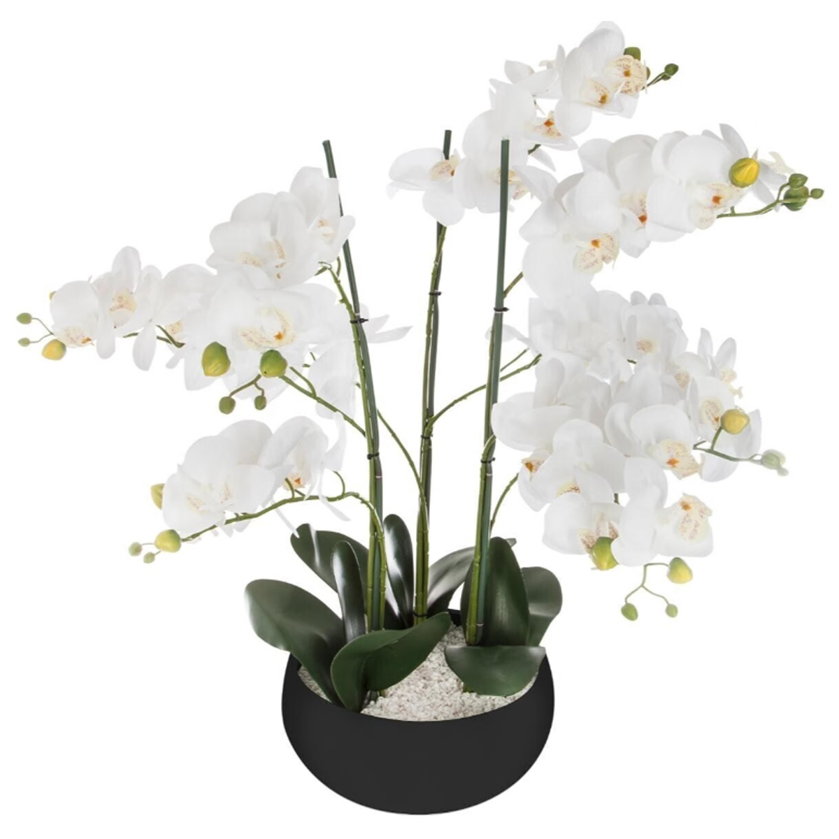 ORCHID CERAMIC POT H65CM