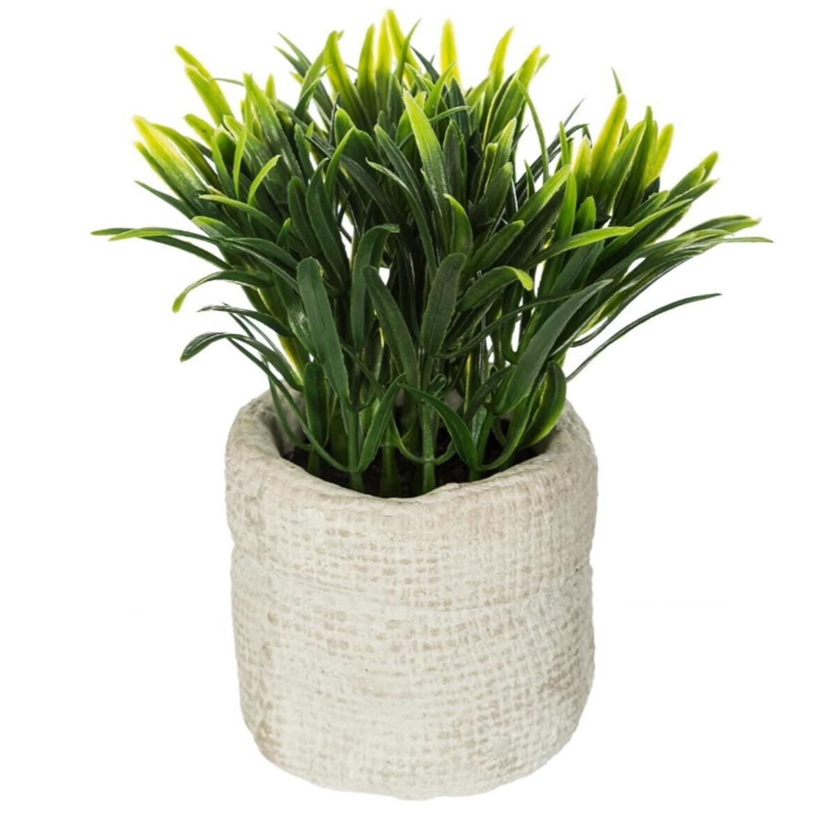 DECORATIVE PLANT IN CERAMIC POT H14CM