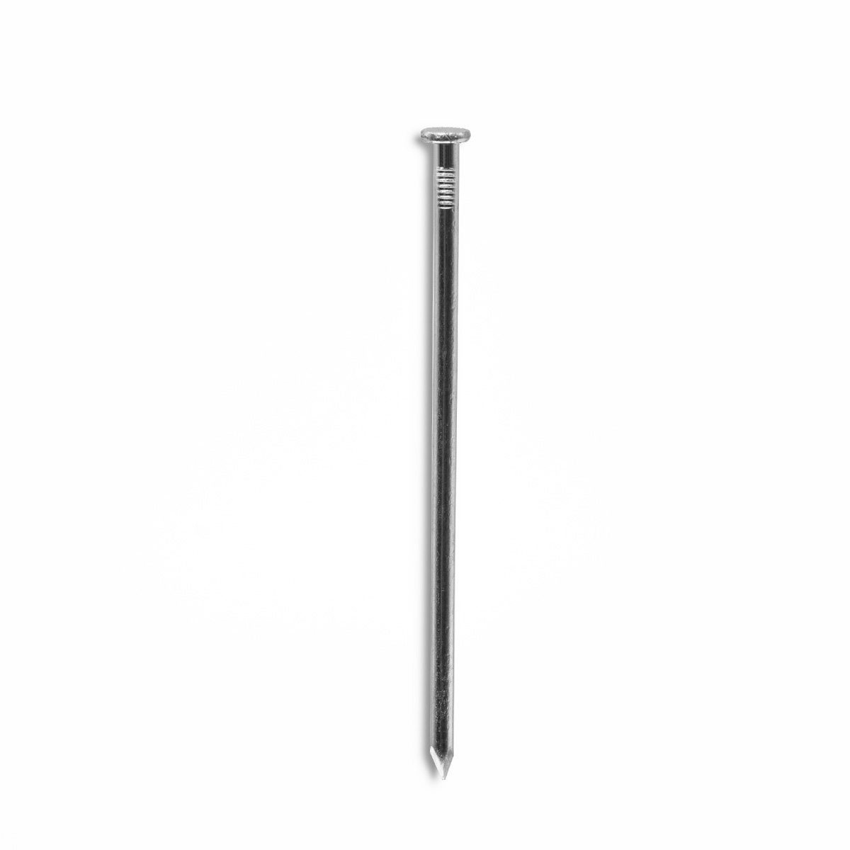 L.H GARDEN SET 10 GALVANIZED NAILS 140X5.5MM