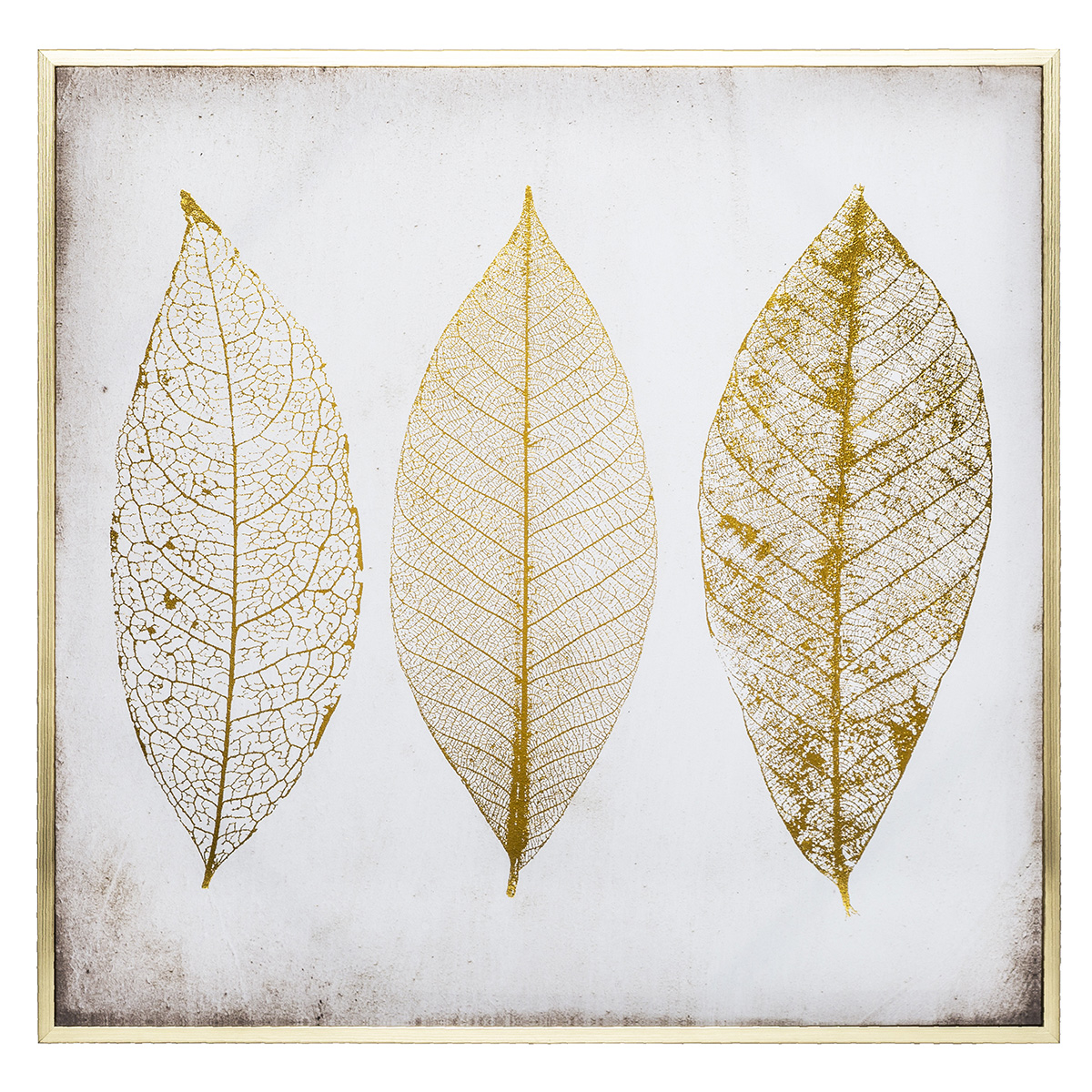 CANVAS WALL ART “FEATHERS” WITH GOLD MDF FRAME 58X58CM