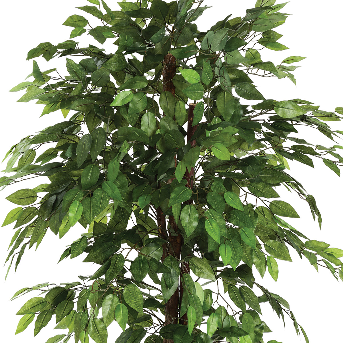 ARTIFICIAL FICUS PLANT IN POT 180CM - Image 2
