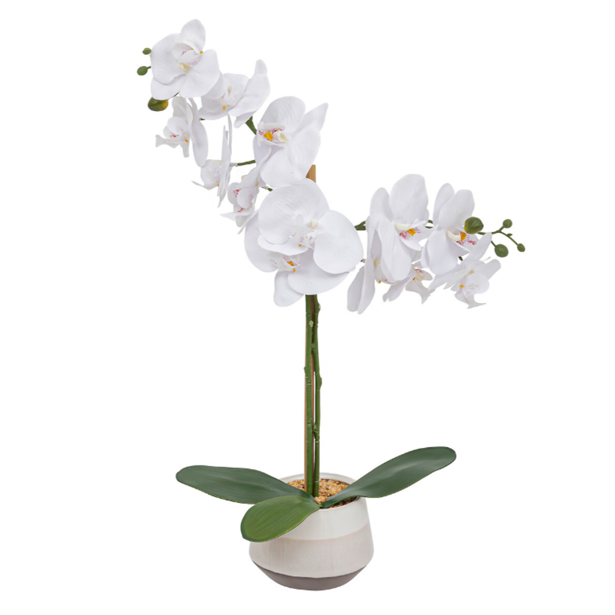 CLERA ARTIFICIAL ORCHID IN CERAMIC POT WHITE 52CM