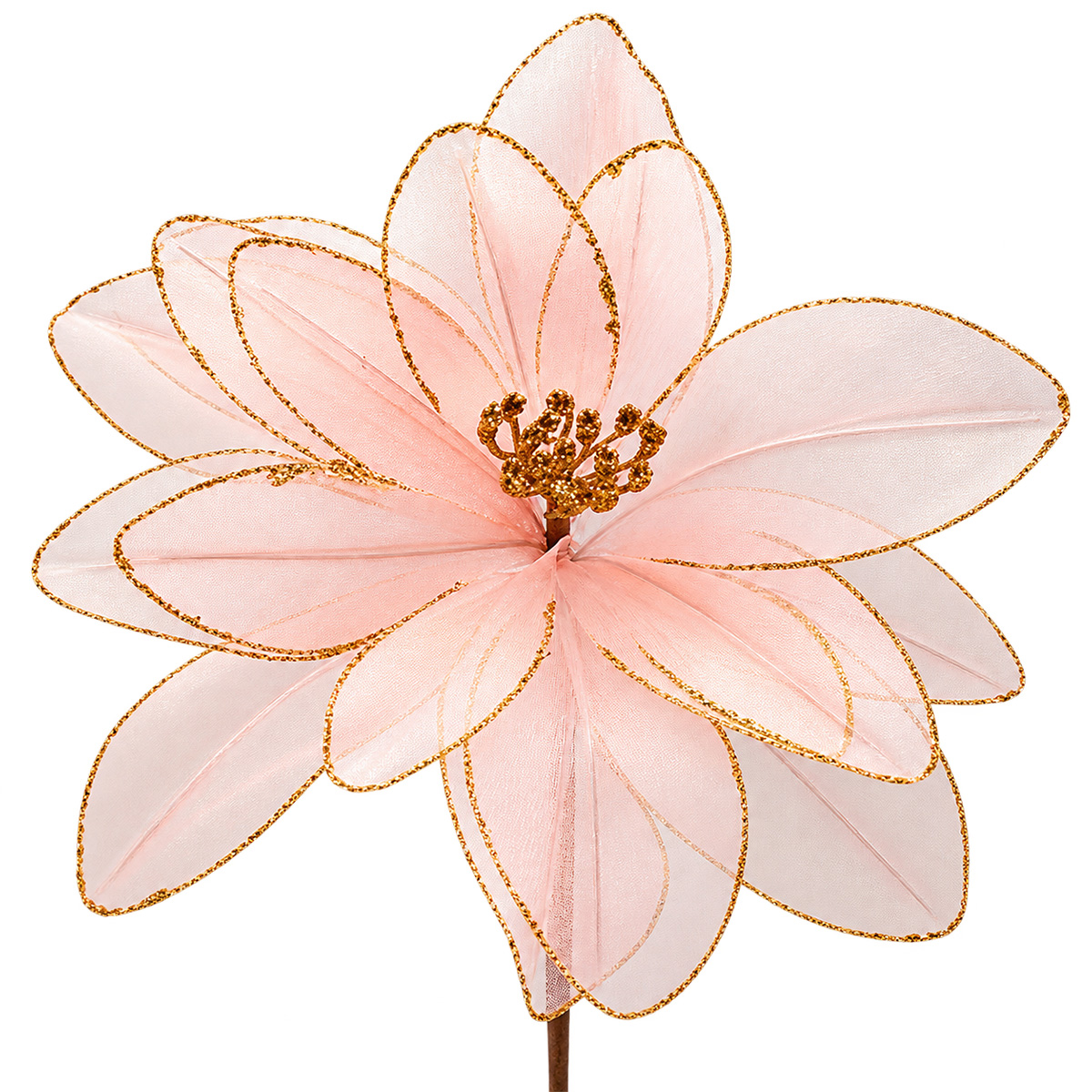CHRISTMAS DAHLIA PINK, 33X45CM